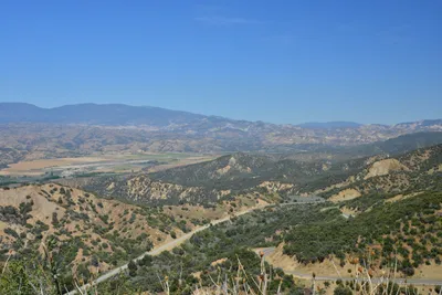 DSC_7311 (Large).JPG